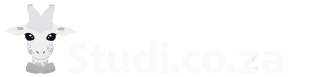 Studi